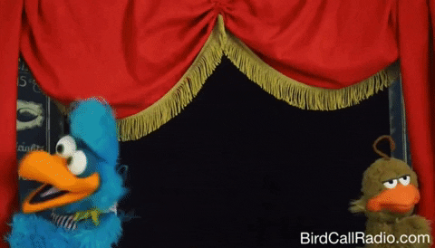 Funnymoments GIF - Find & Share on GIPHY
