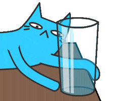 happydog GIF