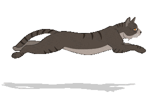 Cat Kat Sticker by Kattenveertjes