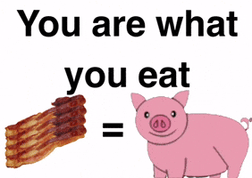You Are What You Eat GIF