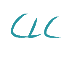 Columbus Ga College Sticker