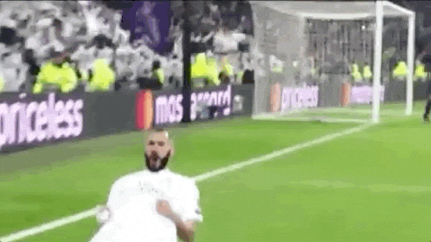giphy.gif
