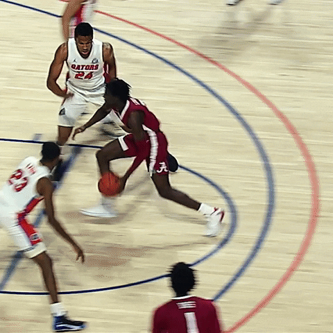Excited Ncaa Sports GIF by Florida Gators
