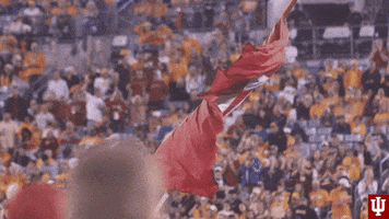Football Flag GIF by Indiana Hoosiers