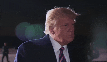 Listen Donald Trump GIF by GIPHY News