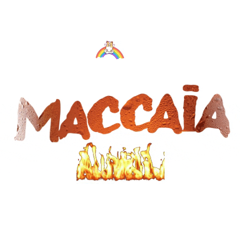Birra Maccaia GIF