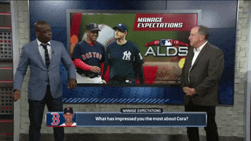 Red Sox Dance GIF by NBC Sports Boston