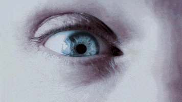 Monster Artist Management GIF