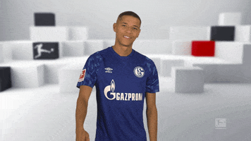 Happy Fc Schalke 04 GIF by Bundesliga