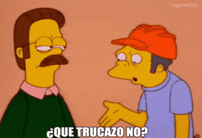 Ned Flanders GIF