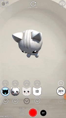 Animated GIF