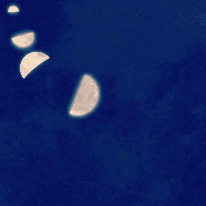 Animated GIF