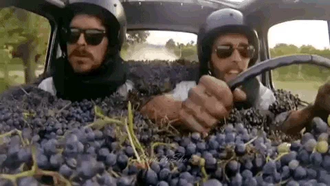 grapes driving GIF