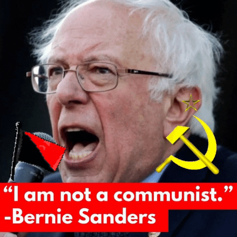 Bernie Sanders GIF