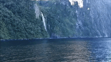 Good Morning Music GIF