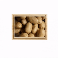 French Fries GIF by Dr. Donna Thomas Rodgers