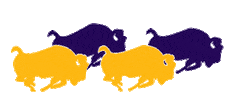 Lipscomb Alumni Sticker