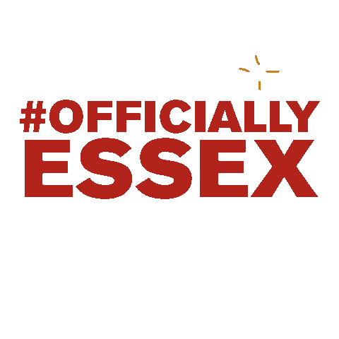 Results Day A Level Sticker by University of Essex