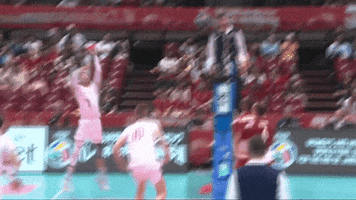 France Power GIF by Volleyball World