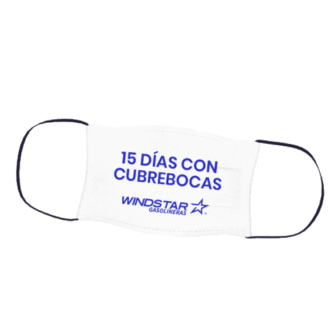 Windstar Sticker