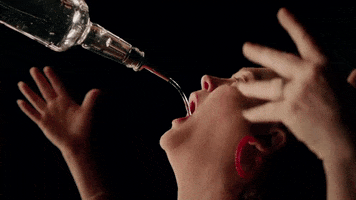 Night Out Drinking GIF by Hardly Art