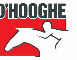 Dhooghevoeding dhooghe horsenutrition paardenvoeding dhooghepaardenvoeding GIF