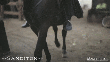 TV gif. Theo James as Sidney Parker on Sanditon rides on a black horse while wearing a black suit and top hat. He looks around seriously as he walks past a wooden building.