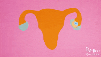 Ovulation GIF