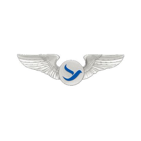 Travel Vacation Sticker by Freebird Airlines