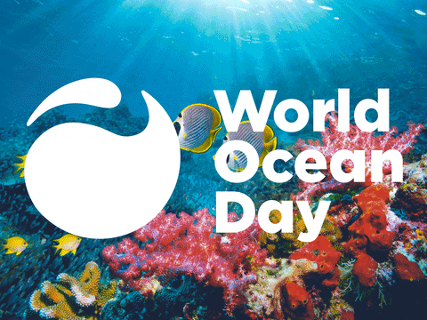 Happy World Ocean Day Gifs Get The Best Gif On Giphy