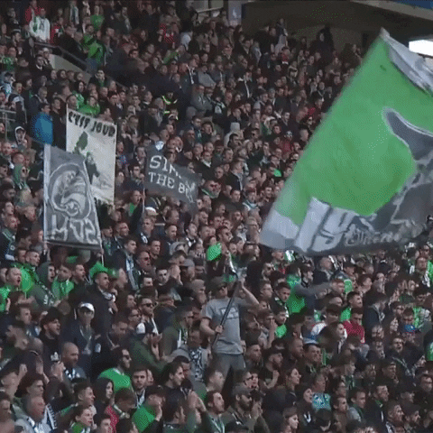 geoffroy-guichard magic GIF by AS Saint-Étienne