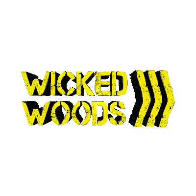 Skate Skatehalle Sticker by wickedwoods