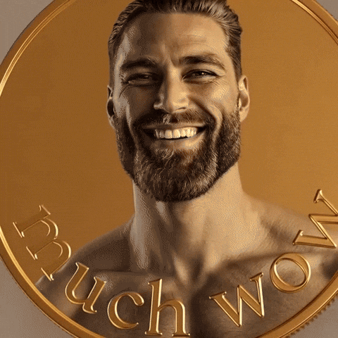 Gold Coin GIF by Gigachad