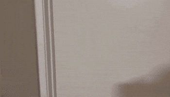 Sqawzzz GIF