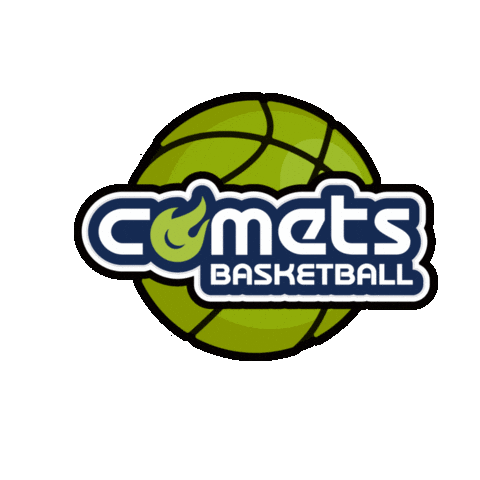 Comet Sticker by WIT