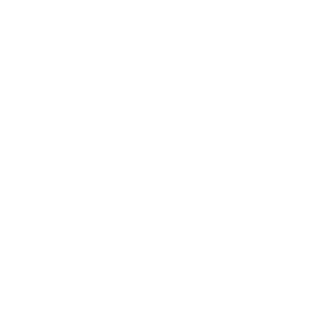FIGA CrossFit Sticker