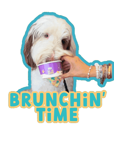 Brunch Sticker by yumpup