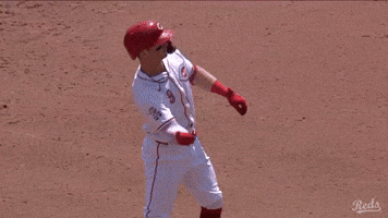 Baseball Mlb GIF by Cincinnati Reds