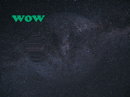 200.gif?cid=fc005b08b1ebb5cf4d49b10212c8f80fd717c8e8b1136390&rid=200.gif&ct=g