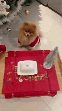 Christmas Cute Dog GIF