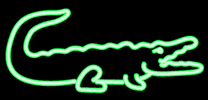 Neon Alligator GIF by University of Florida