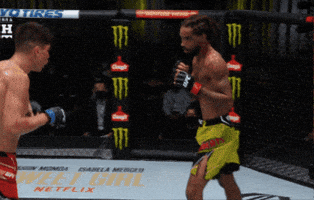 Ufc Chile GIF