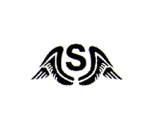 Skateboarding Snowboarding Sticker by Stinky Socks