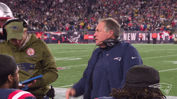 excited 2018 nfl GIF by New England Patriots