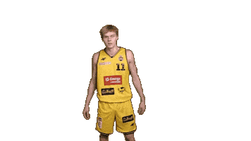 Basketball Koszykowka Sticker by Trefl Sopot