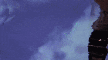 caritatediligimus distortion tascai GIF