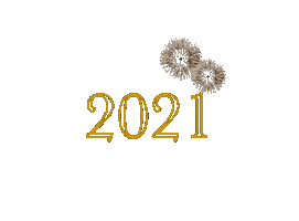 New Year Fireworks Sticker