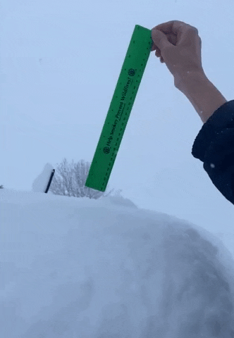 Snow Day GIF by Storyful