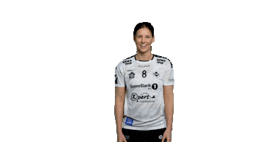 Flint Tønsberg Håndball Sticker
