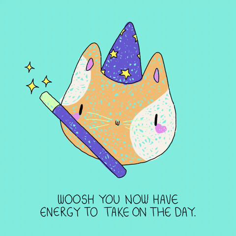 Happy Cat GIF